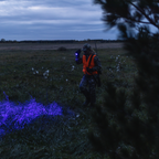 P6R CORE QC FLASHLIGHT – image 5