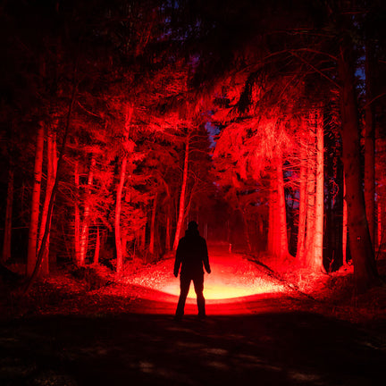 Lampe torche P6R Core QC